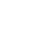 fibi software system